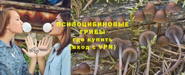 синтетический гашиш Алексин