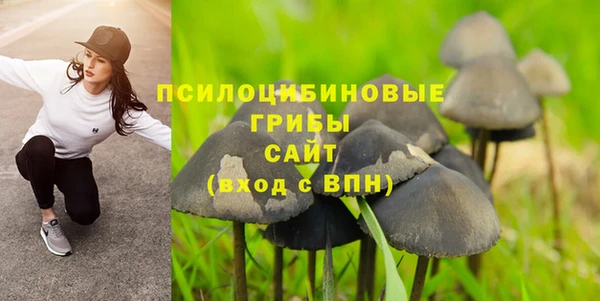первитин Армянск