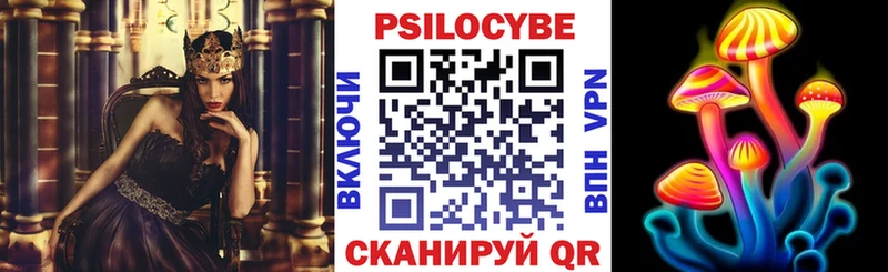 Галлюциногенные грибы Psilocybine cubensis Купить где Саянск