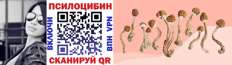 Псилоцибиновые грибы Psilocybe Саянск